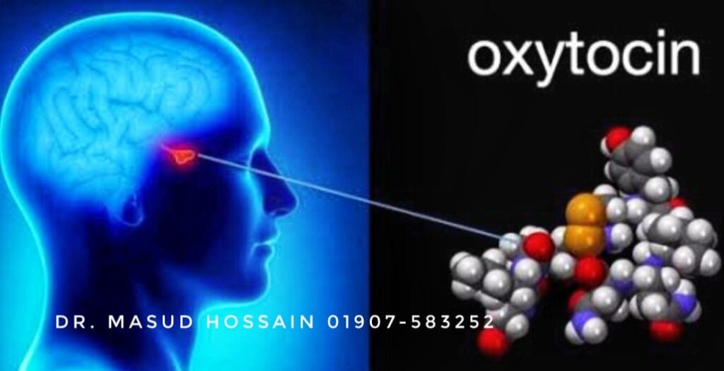 অক্সিটোসিন হরমোন ( Oxytocin ) যৌনাসক্তি বৃদ্ধি | ডাঃ মাসুদ হোসেন।