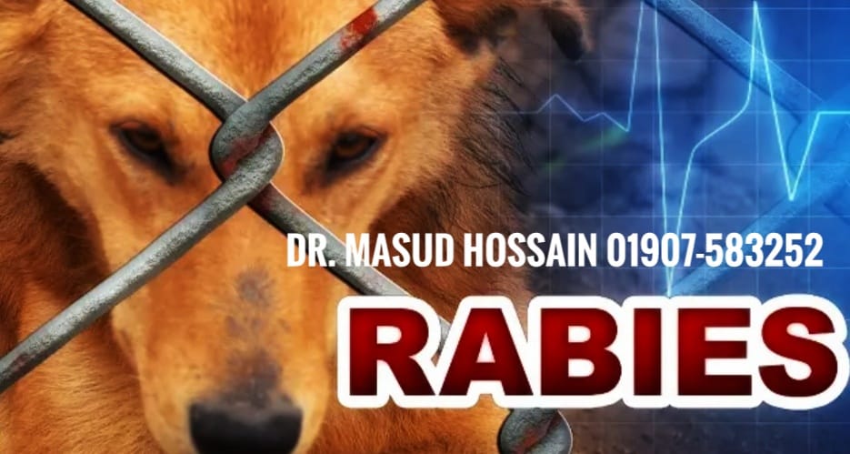 রেবিস- জ্বলাতঙ্ক | Rabies | ডাঃ মাসুদ হোসেন।