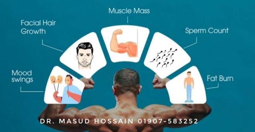 টেস্টোস্টেরন হরমোন | Male Sex Hormone Testosterone 